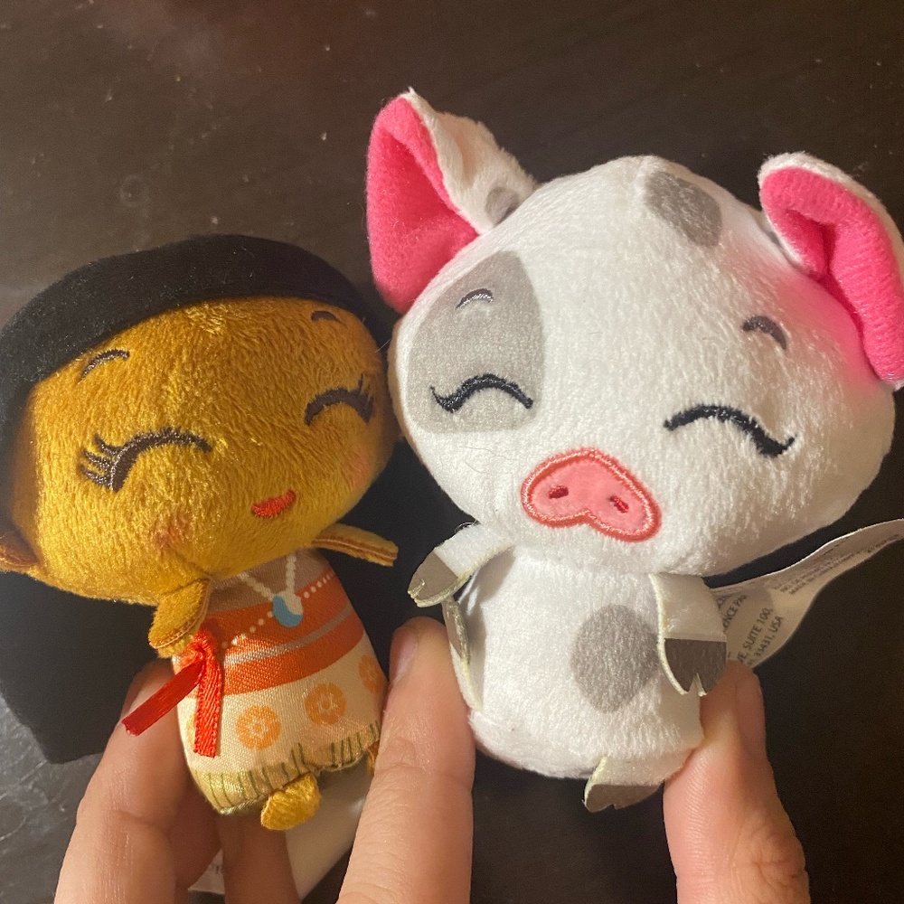 Disney Princess Tea Cup Mini Collectible Plush Series 3 ~ Moana & Pua